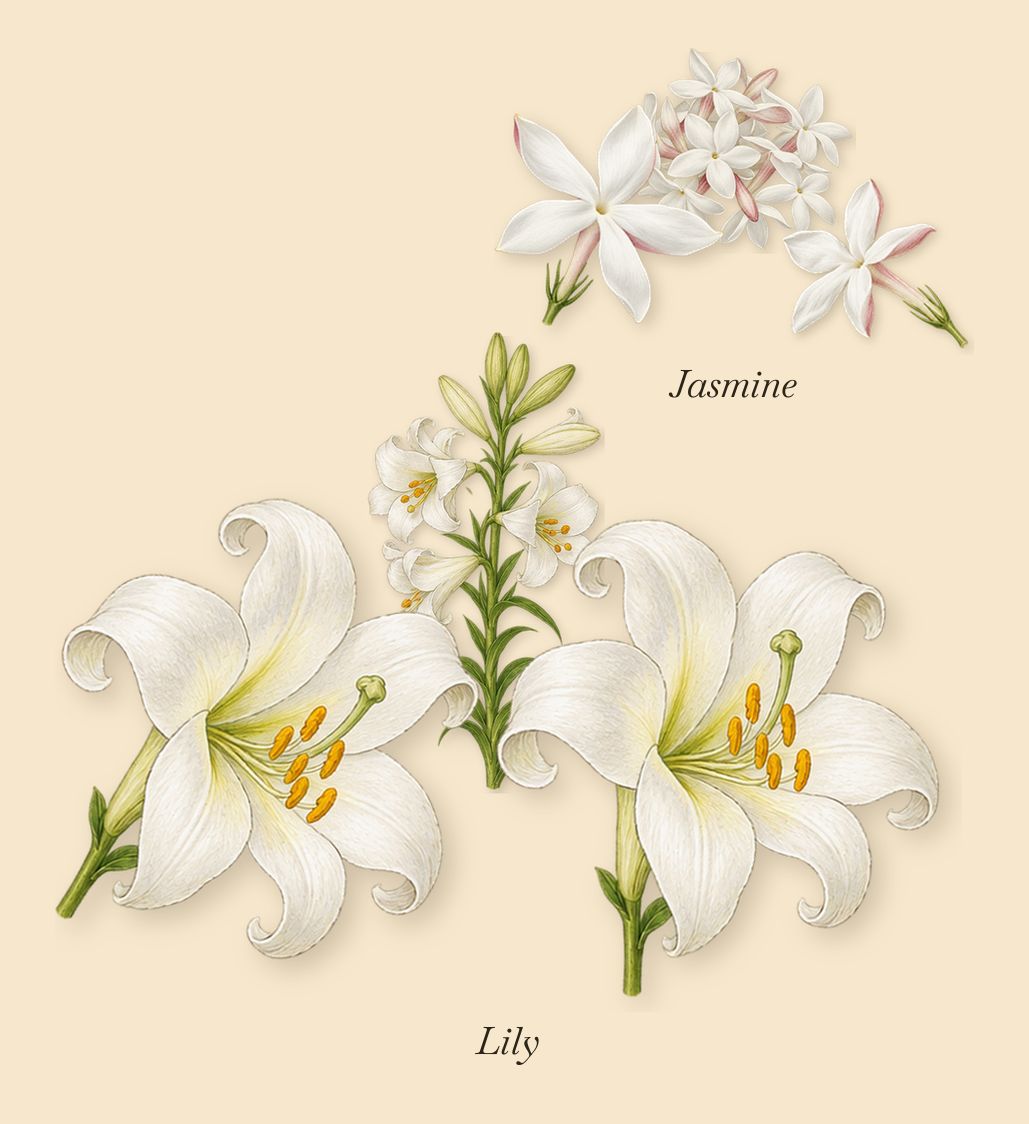 By Woman Re-Edition, as it settles: Lily, Jasmine