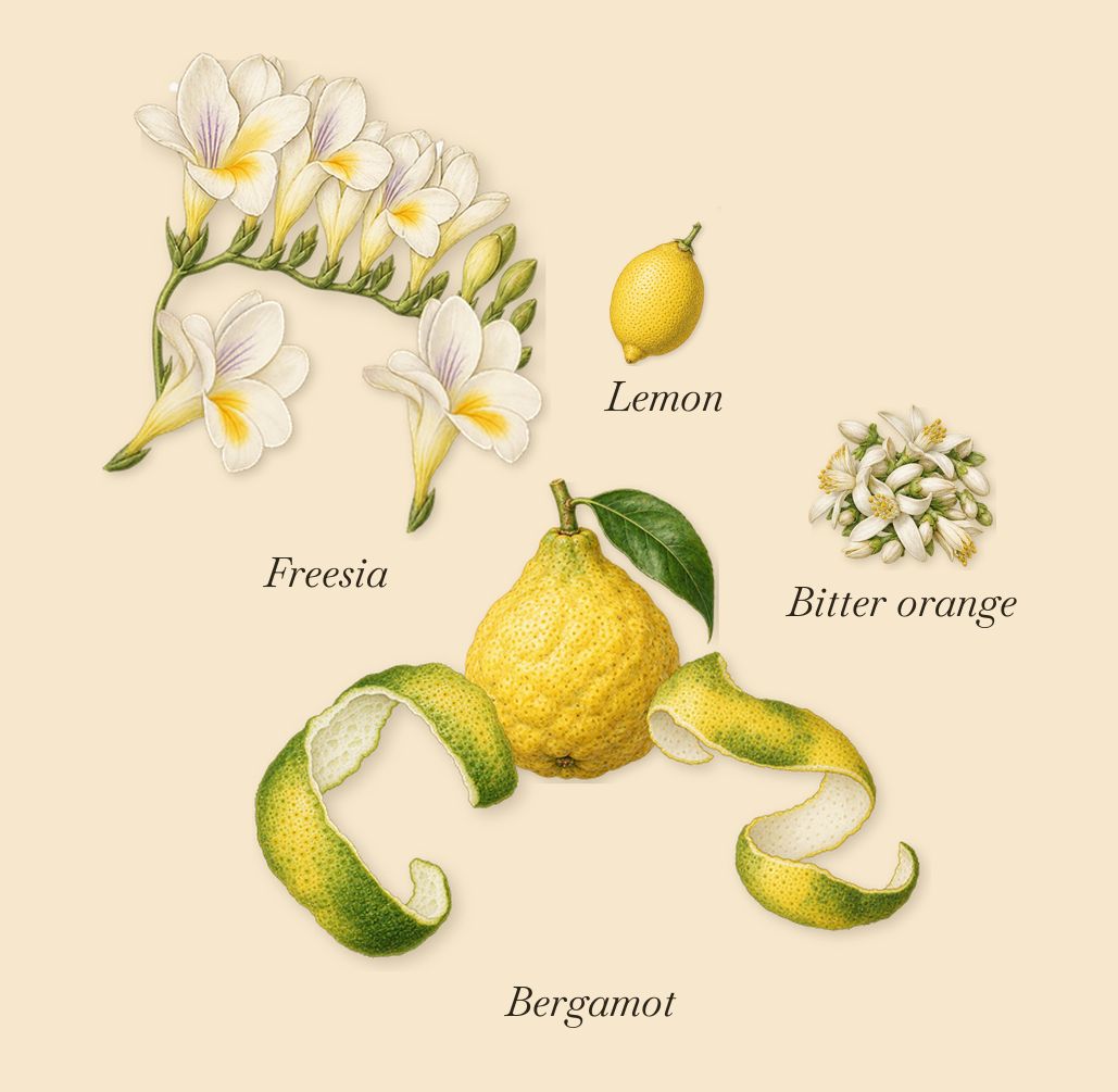 By Woman Re-Edition, when you spray it: Bergamot, Freesia, Lemon, Bitter orange