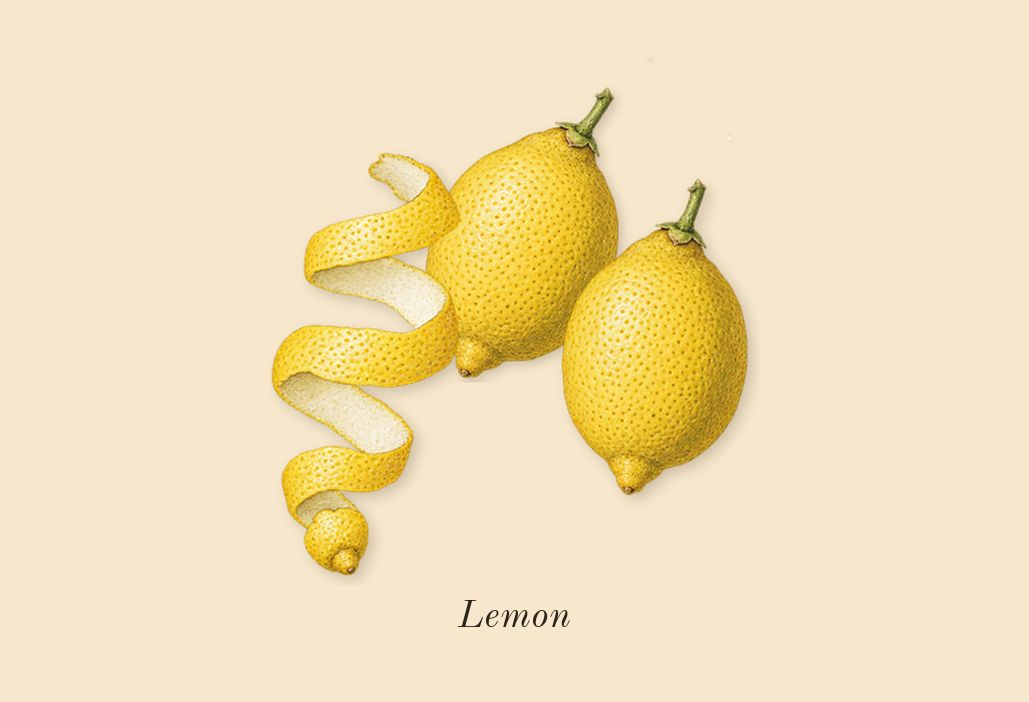 Devotion for Men, top notes: Lemon