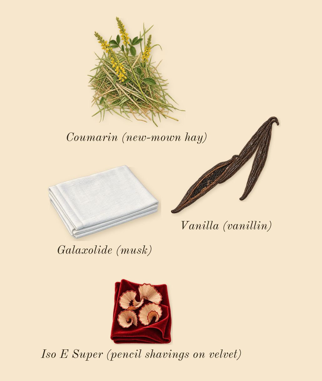 Devotion, dry-down: Vanilla (vanillin), Iso E Super (pencil shavings on velvet), Galaxolide (musk), Coumarin (new-mown hay)