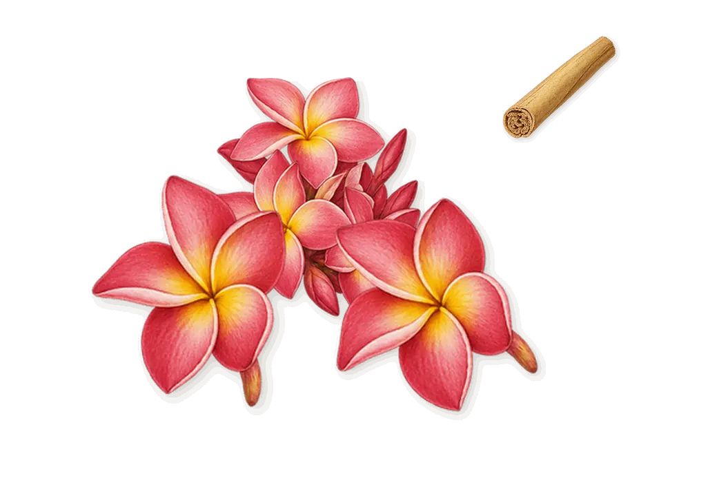 Light Blue, as it settles: Frangipani, Cinnamon