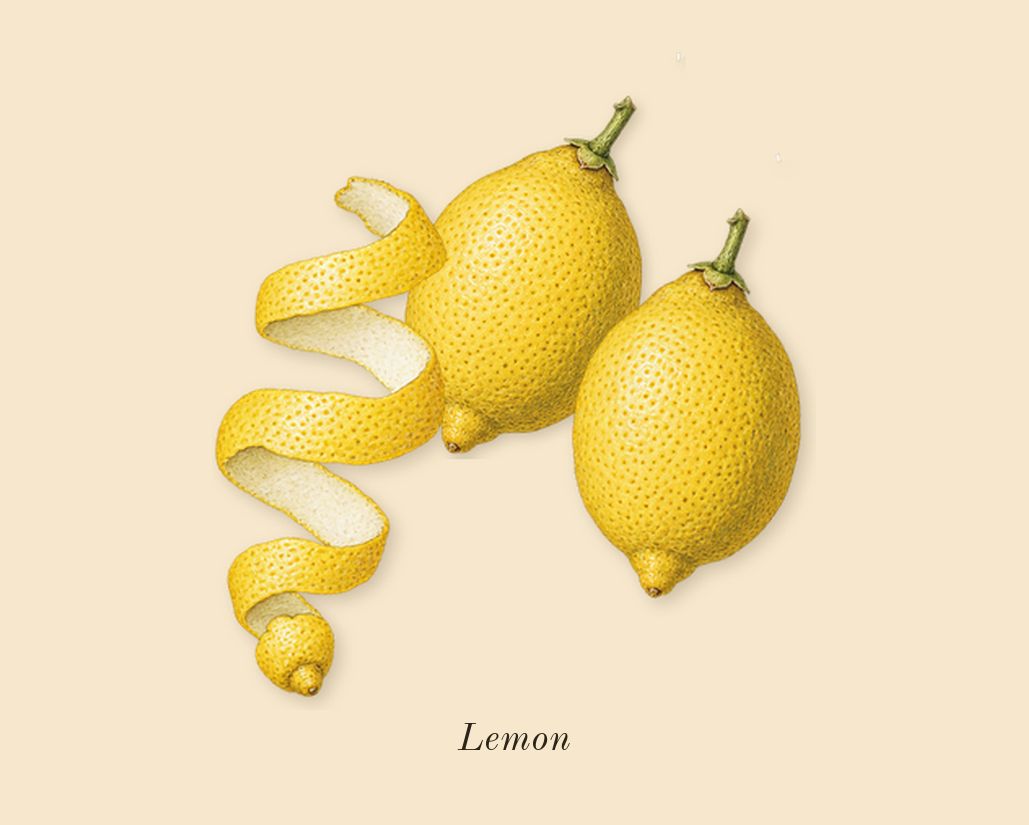Light Blue, top notes: Lemon