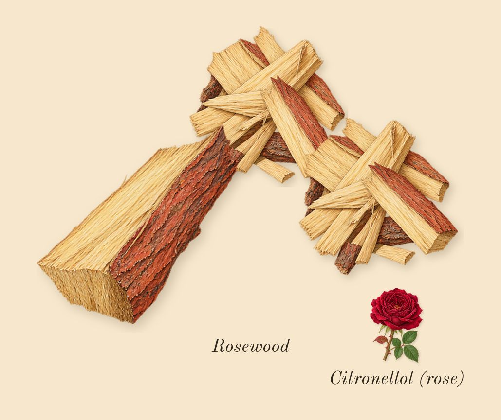 Light Blue Pour Homme, heart: Rosewood, Citronellol (rose)