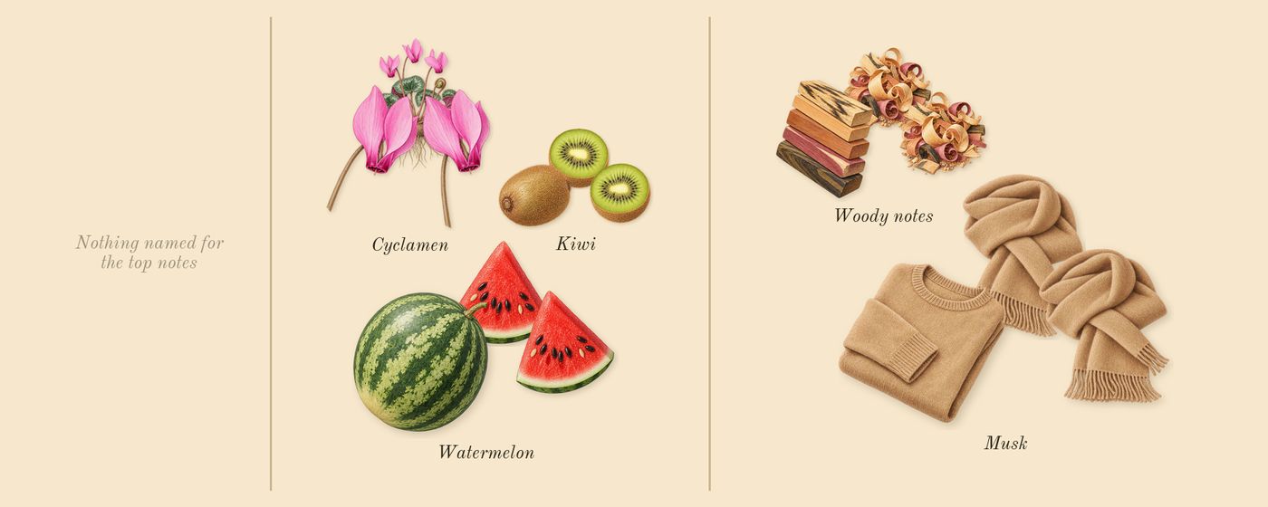 L'Impératrice’s scent picture, a draft: watermelon, cyclamen, woody notes, kiwi, musk drawn so far; dashed outlines where nothing is drawn yet