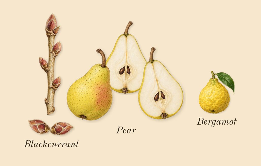 My Devotion, top notes: Pear, Blackcurrant, Bergamot