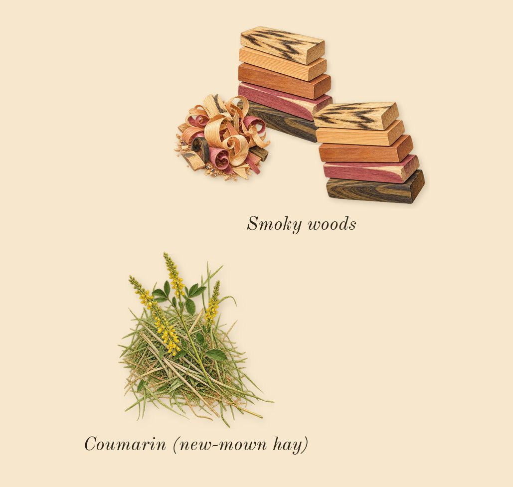 Pour Homme, dry-down: Smoky woods, Coumarin (new-mown hay)