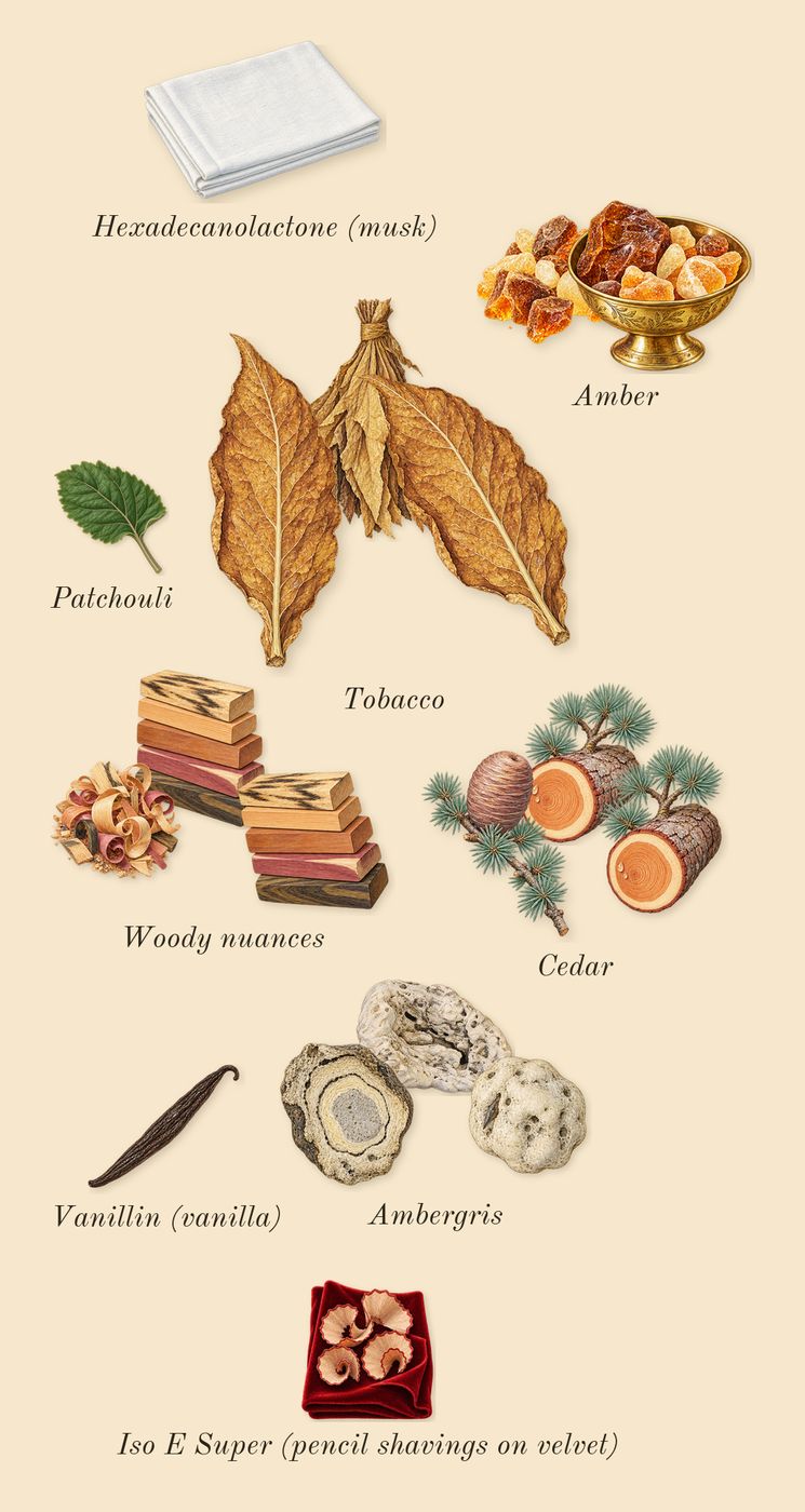 The One for Men, dry-down: Tobacco, Amber, Woody nuances, Cedar, Ambergris, Patchouli, Iso E Super (pencil shavings on velvet), Vanillin (vanilla), Hexadecanolactone (musk)
