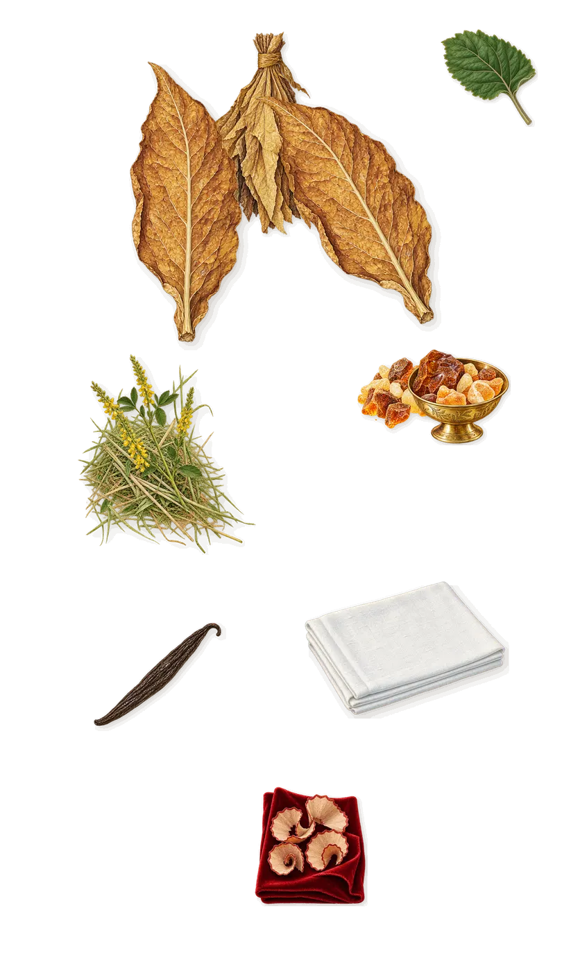 The One for Men, what stays: Tobacco, Amber, Patchouli, Iso E Super (pencil shavings on velvet), Vanillin (vanilla), Coumarin (new-mown hay), Hexadecanolactone (musk)