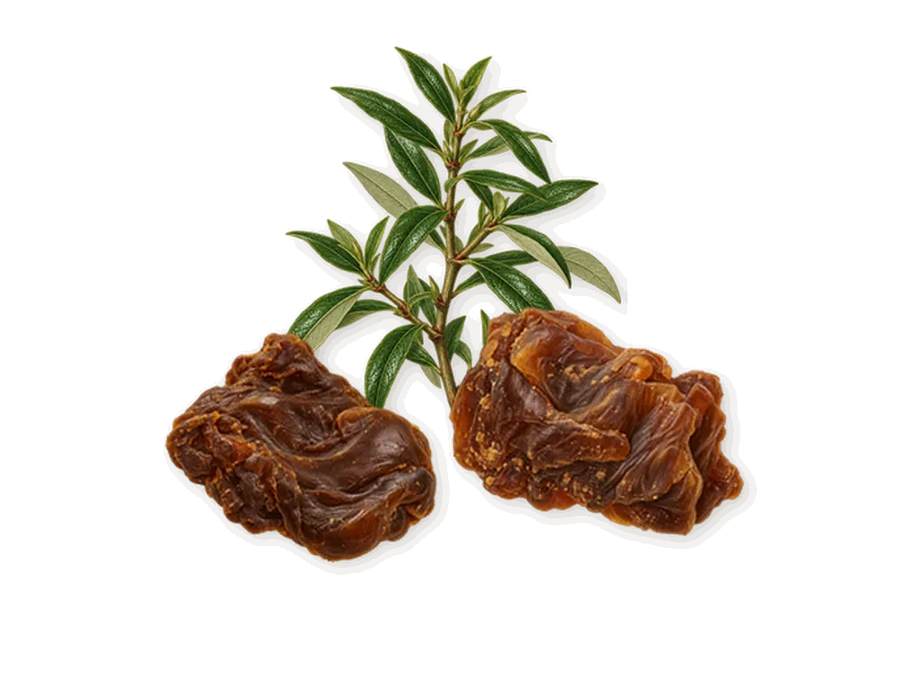 The One for Men, as it settles: Labdanum