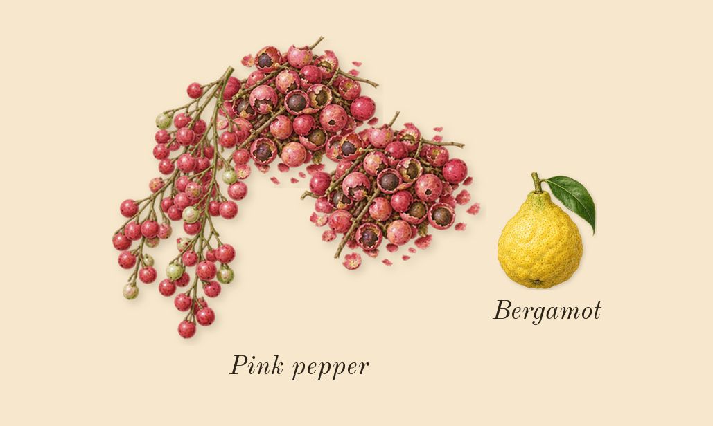 The One Intense, top notes: Pink pepper, Bergamot