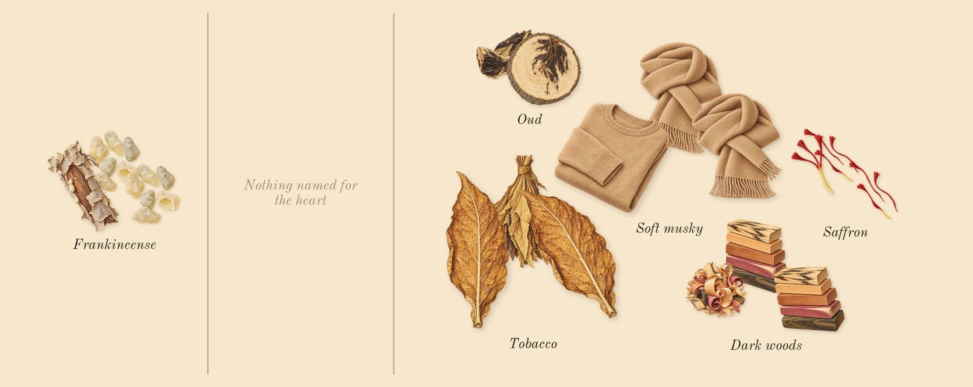 Velvet Desert Oud’s scent picture, a draft: frankincense, oud, tobacco, saffron, dark woods, soft musky drawn so far; dashed outlines where nothing is drawn yet