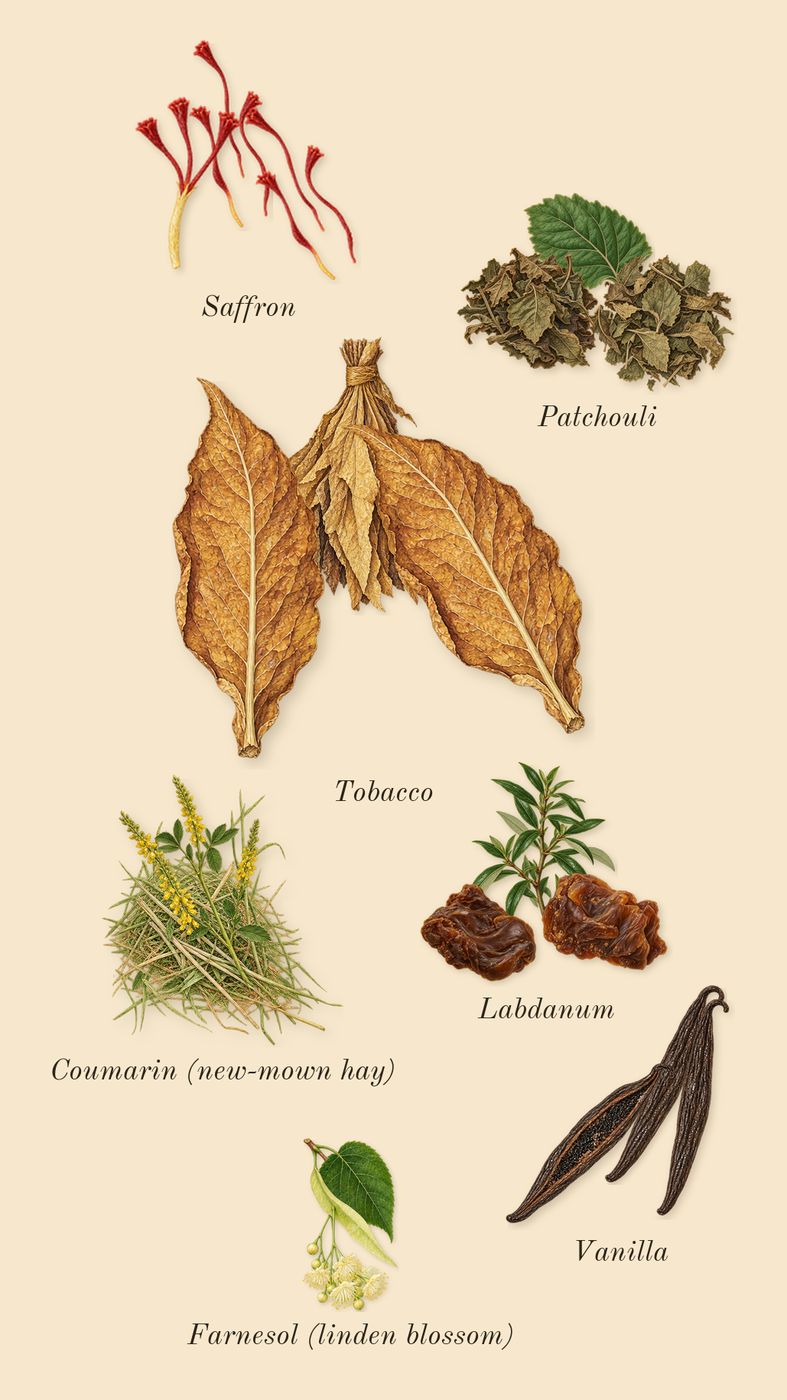 Velvet Zafferano, dry-down: Saffron, Tobacco, Patchouli, Vanilla, Labdanum, Coumarin (new-mown hay), Farnesol (linden blossom)