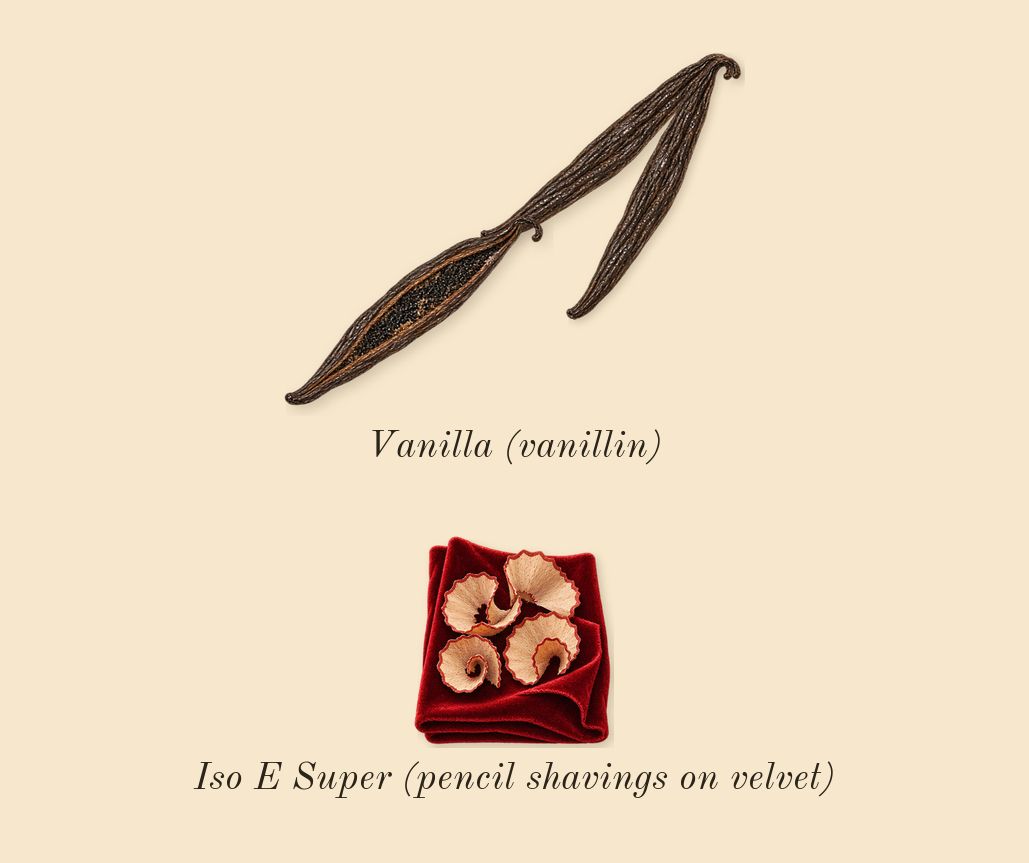 Your Devotion Intense, dry-down: Vanilla (vanillin), Iso E Super (pencil shavings on velvet)