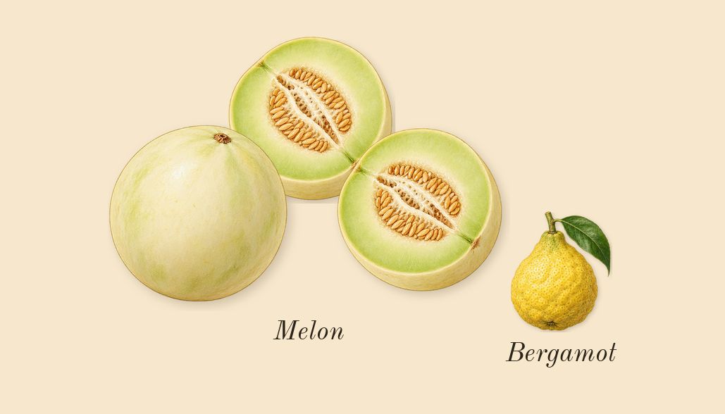 Your Devotion Intense, top notes: Melon, Bergamot