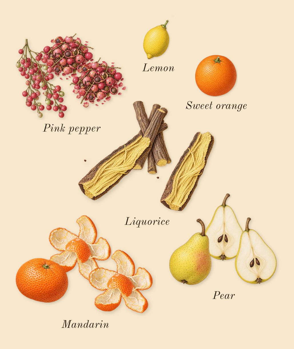 Ambery Vanilla, top notes: Mandarin, Pear, Pink pepper, Liquorice, Lemon, Sweet orange