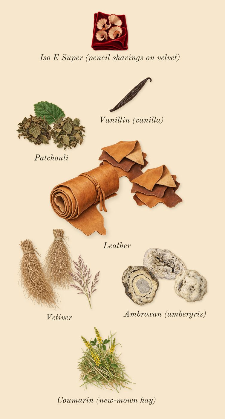 Caramelized Lavender & Hazelnut, dry-down: Patchouli, Vetiver, Leather, Ambroxan (ambergris), Iso E Super (pencil shavings on velvet), Vanillin (vanilla), Coumarin (new-mown hay)