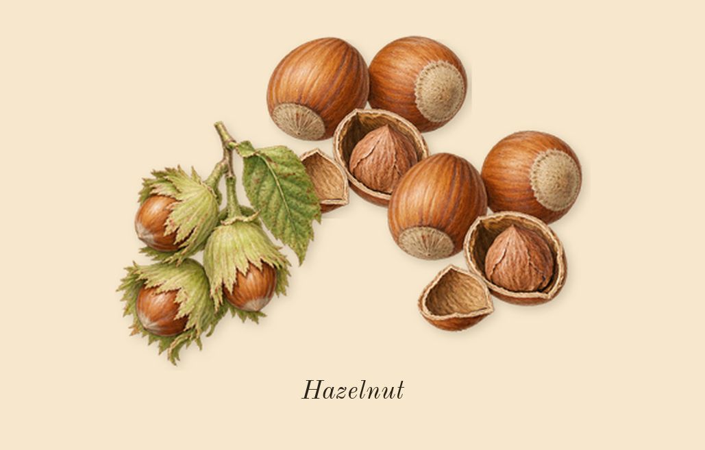 Caramelized Lavender & Hazelnut, top notes: Hazelnut