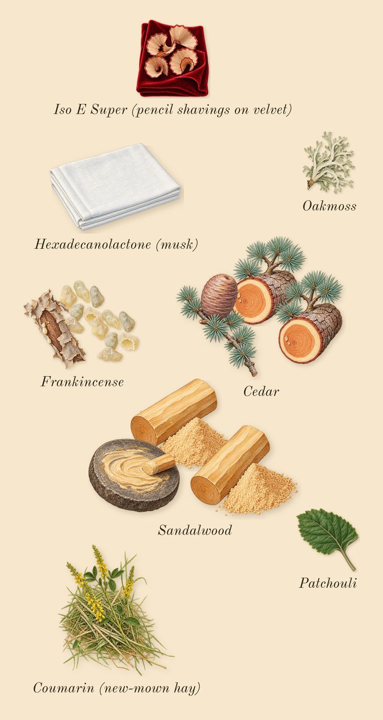Citrus Ginger, dry-down: Sandalwood, Frankincense, Cedar, Patchouli, Oakmoss, Iso E Super (pencil shavings on velvet), Coumarin (new-mown hay), Hexadecanolactone (musk)