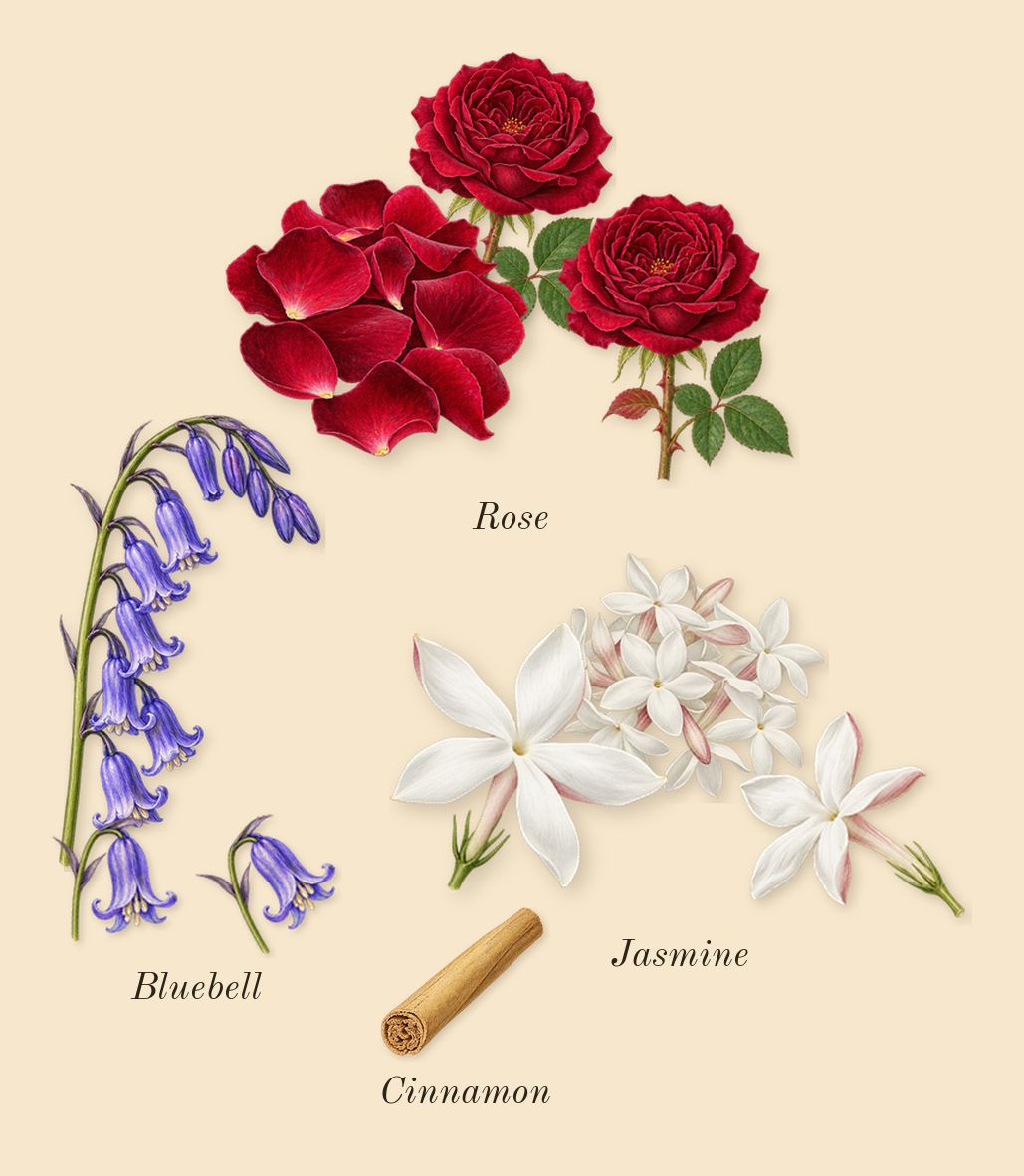 Citrus Green Apple, heart: Bluebell, Jasmine, Rose, Cinnamon