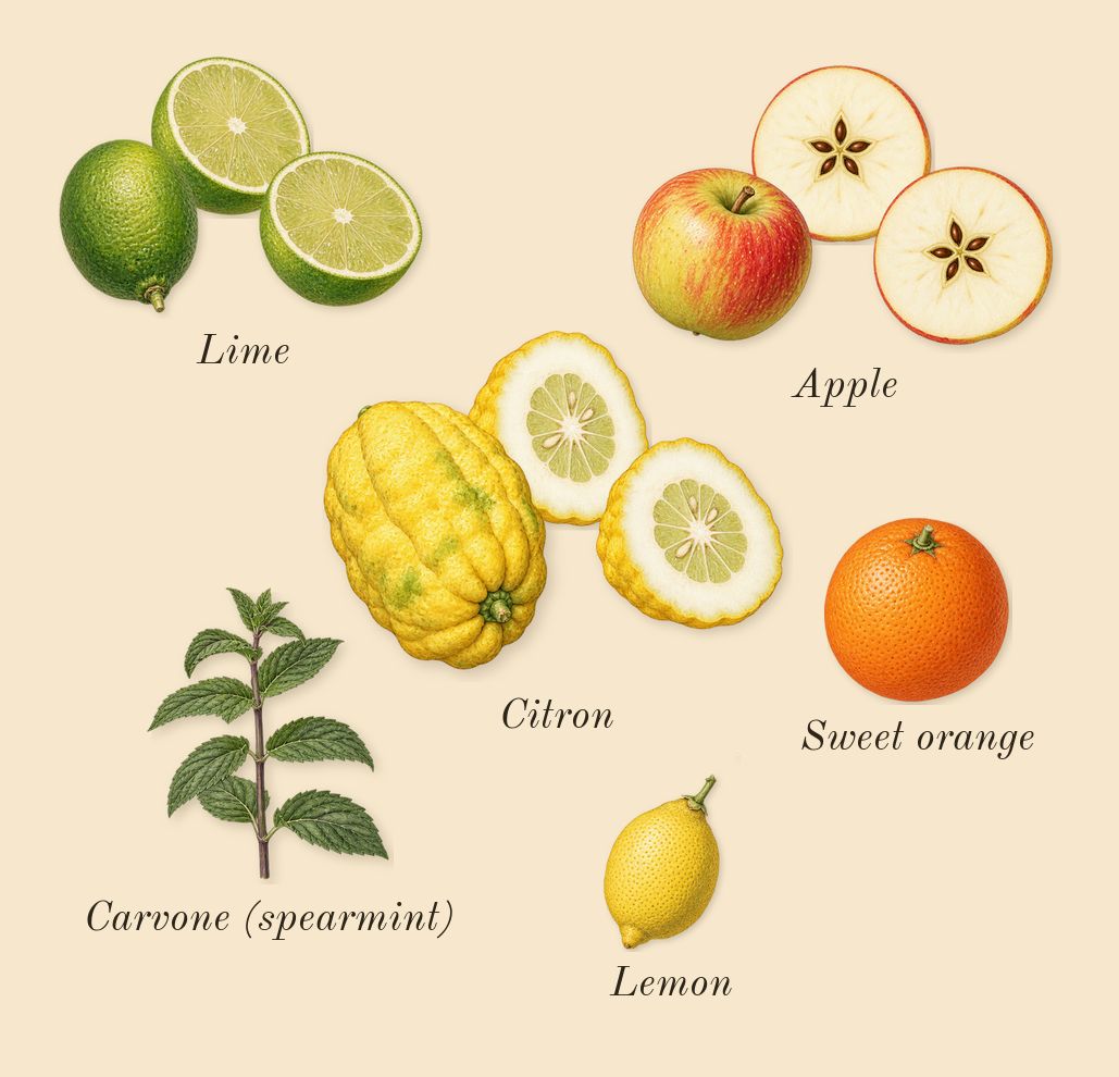 Citrus Green Apple, top notes: Apple, Lime, Citron, Lemon, Sweet orange, Carvone (spearmint)