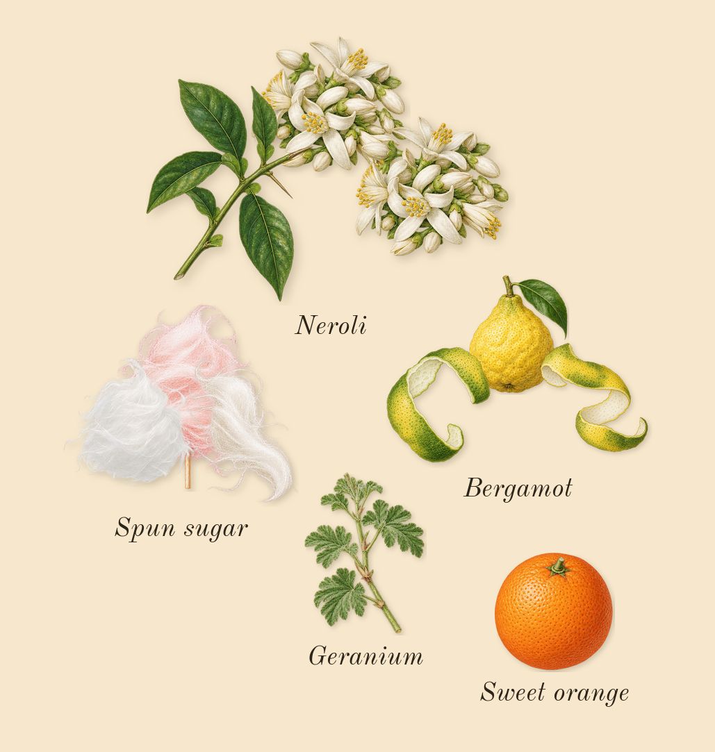 Floral Marshmallow, top notes: Spun sugar, Neroli, Bergamot, Sweet orange, Geranium