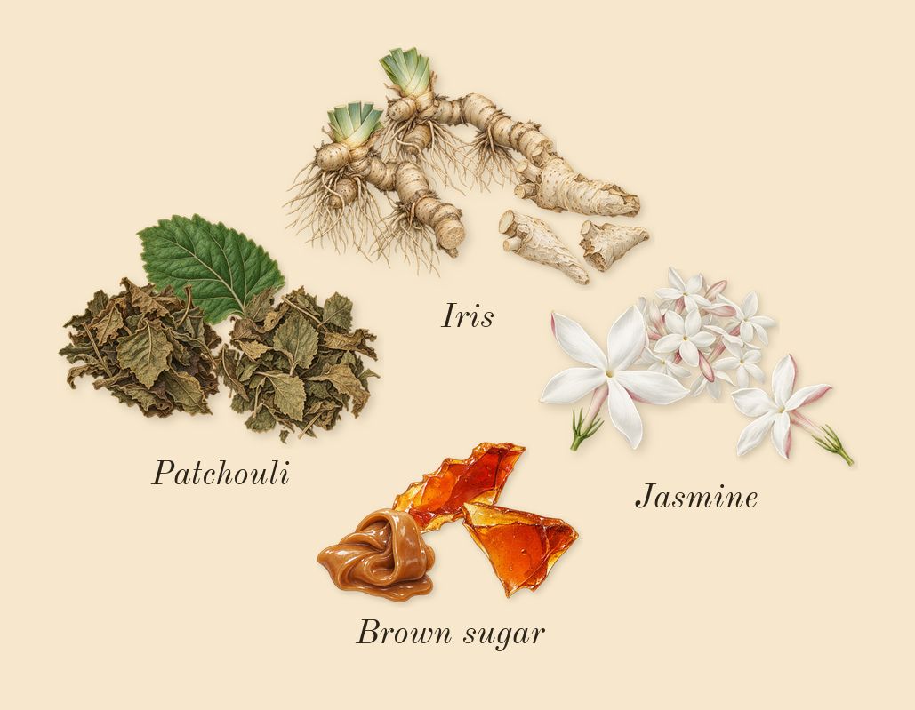 Gourmand Orange Blossom, heart: Iris, Jasmine, Patchouli, Brown sugar