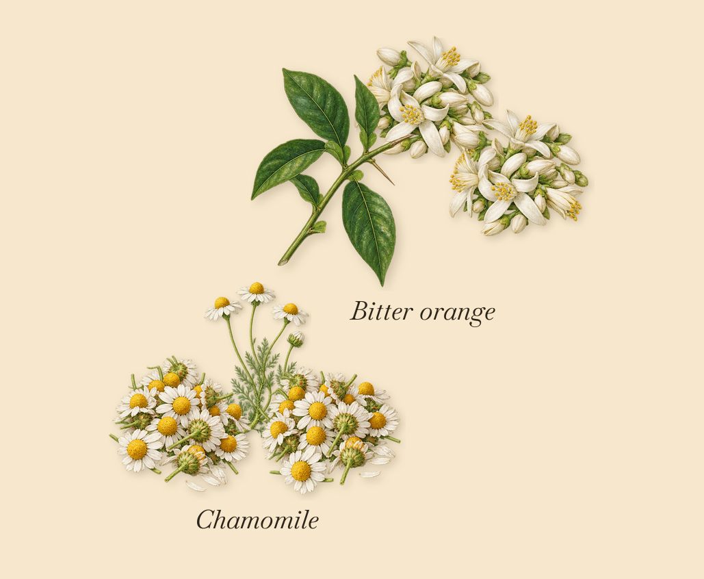 Camomille Satin, when you spray it: Chamomile, Bitter orange