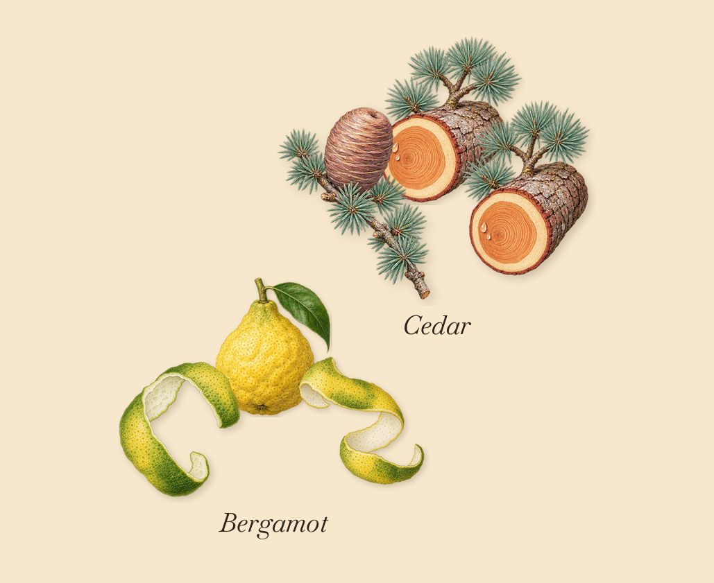 Cannabis Patchouli, when you spray it: Bergamot, Cedar