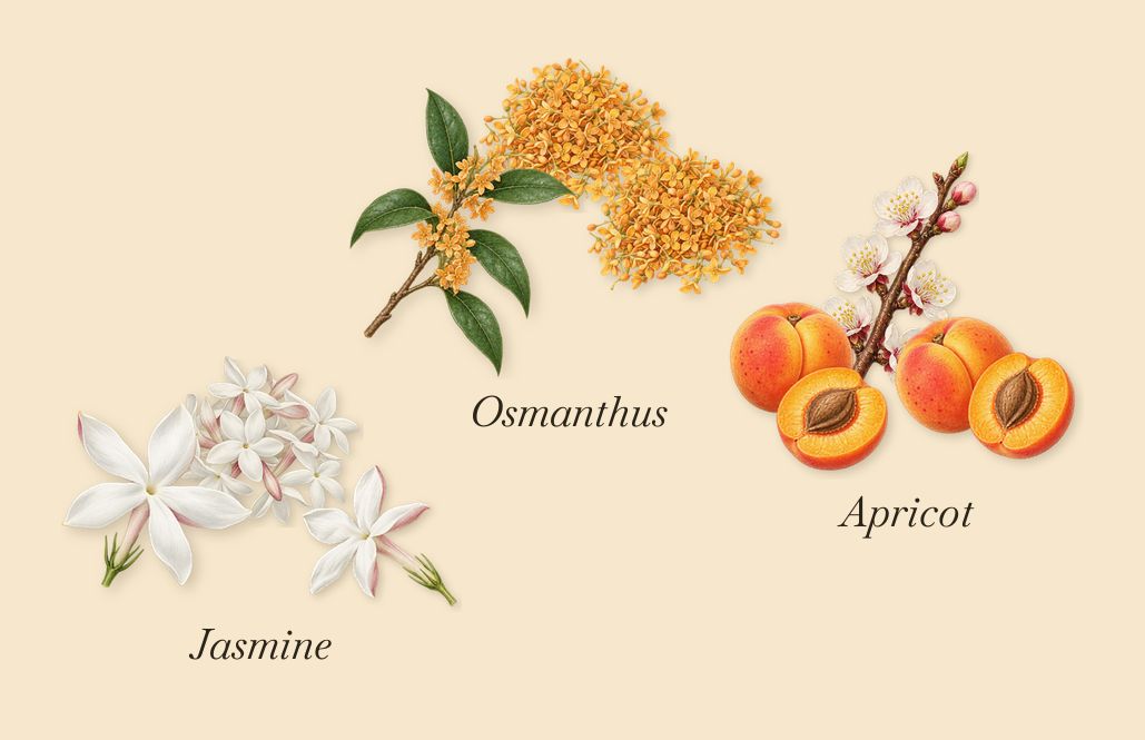 Fleur du Mal, as it settles: Osmanthus, Jasmine, Apricot