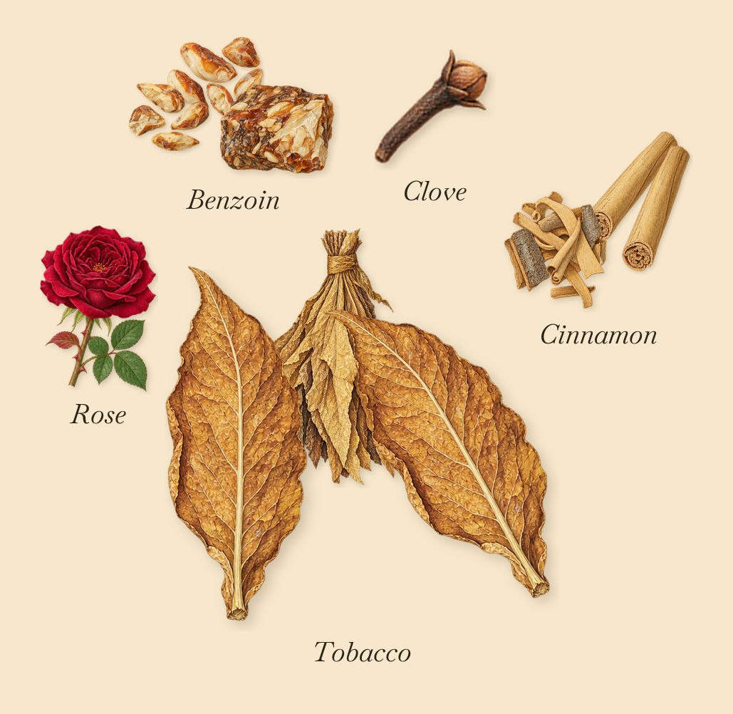 Havana Gold, as it settles: Cinnamon, Tobacco, Benzoin, Clove, Rose
