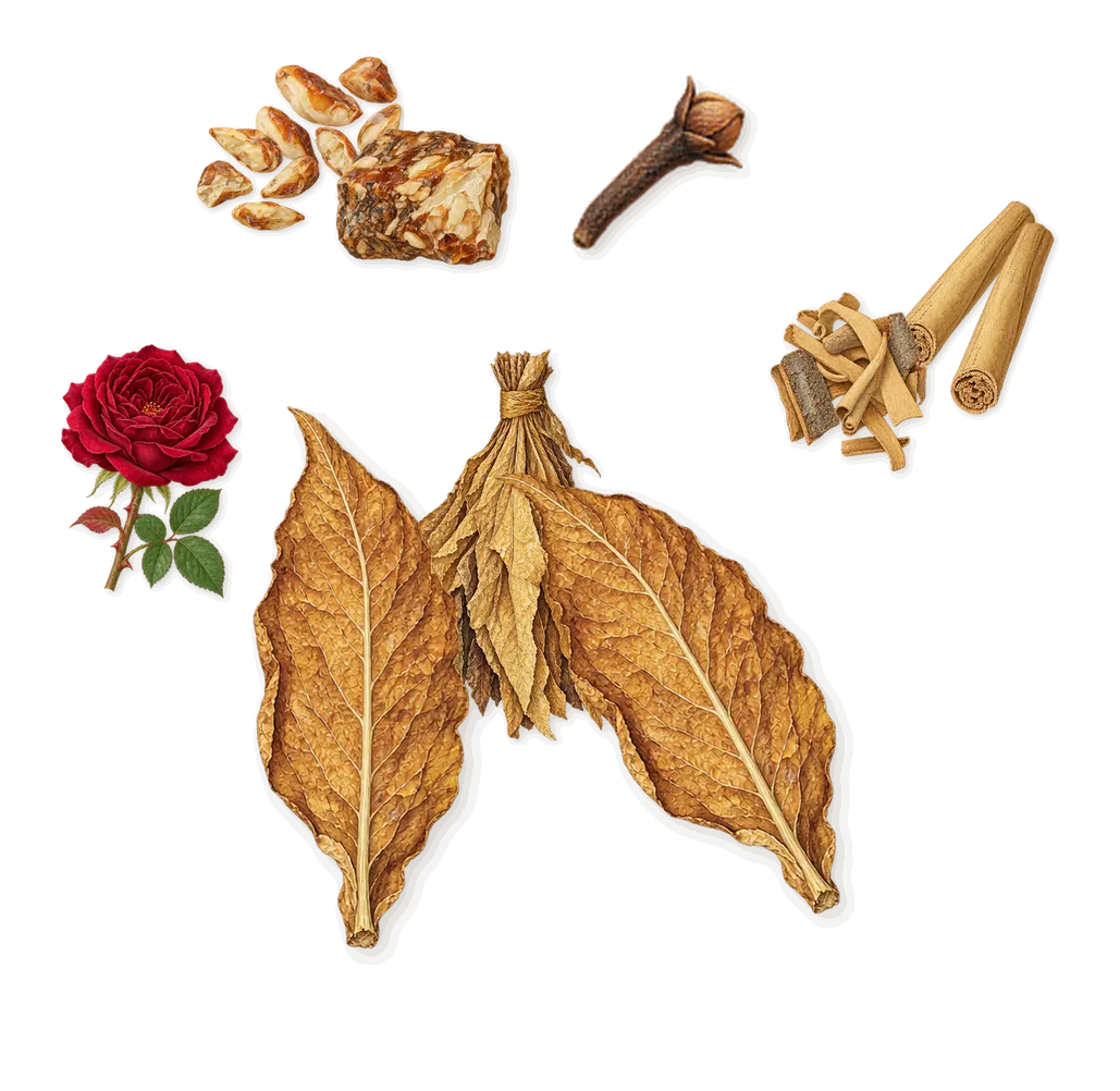 Havana Gold, as it settles: Cinnamon, Tobacco, Benzoin, Clove, Rose