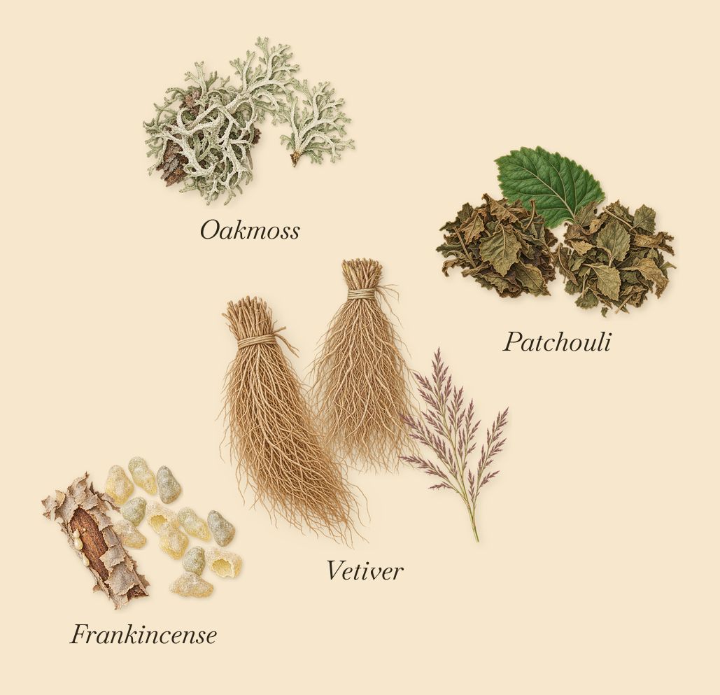 Mystic Moss, what stays: Oakmoss, Vetiver, Patchouli, Frankincense