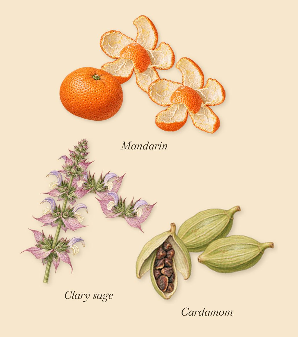 Mystic Moss, when you spray it: Mandarin, Clary sage, Cardamom