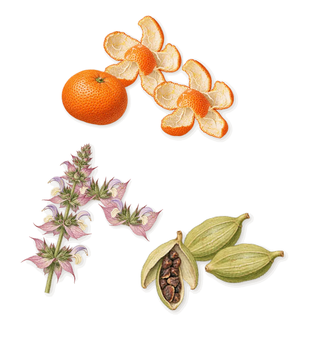 Mystic Moss, when you spray it: Mandarin, Clary sage, Cardamom