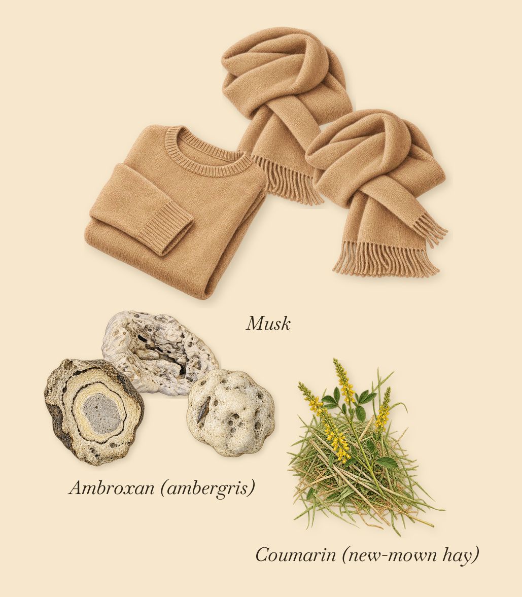 Neon Garden, what stays: Musk, Ambroxan (ambergris), Coumarin (new-mown hay)