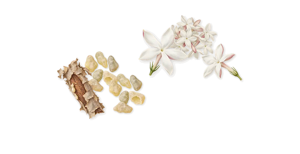 Orange Smoke, as it settles: Jasmine, Frankincense