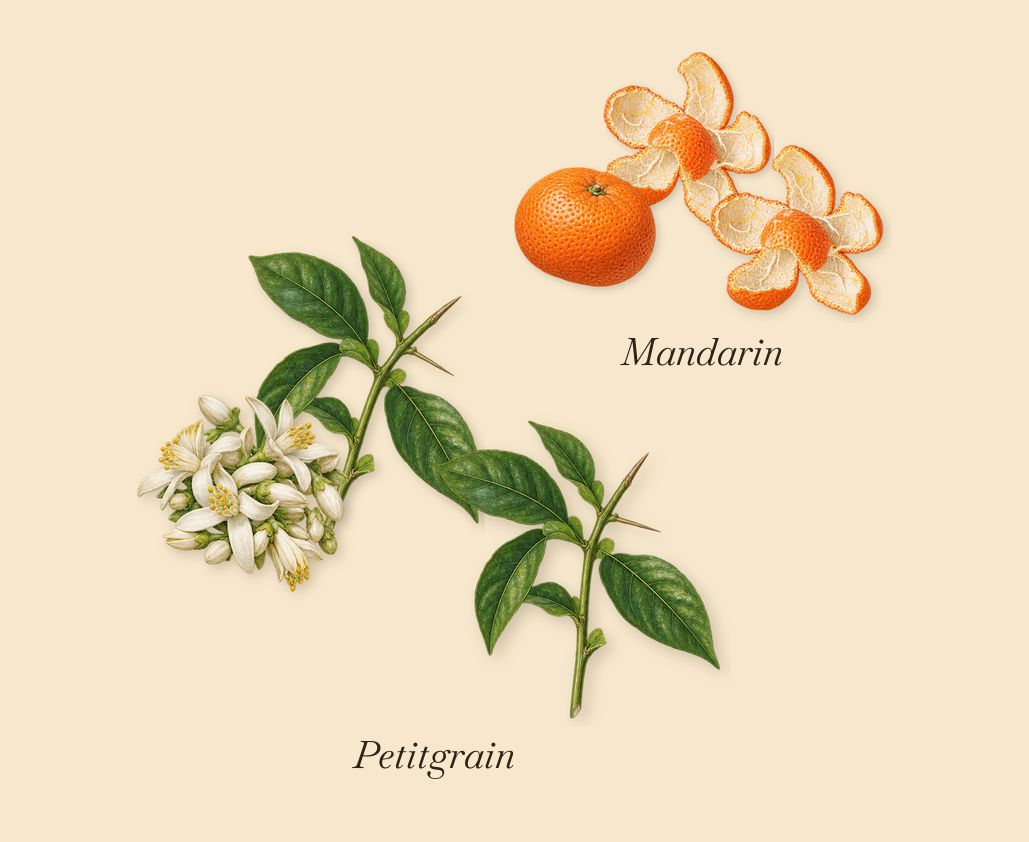Orange Smoke, when you spray it: Mandarin, Petitgrain