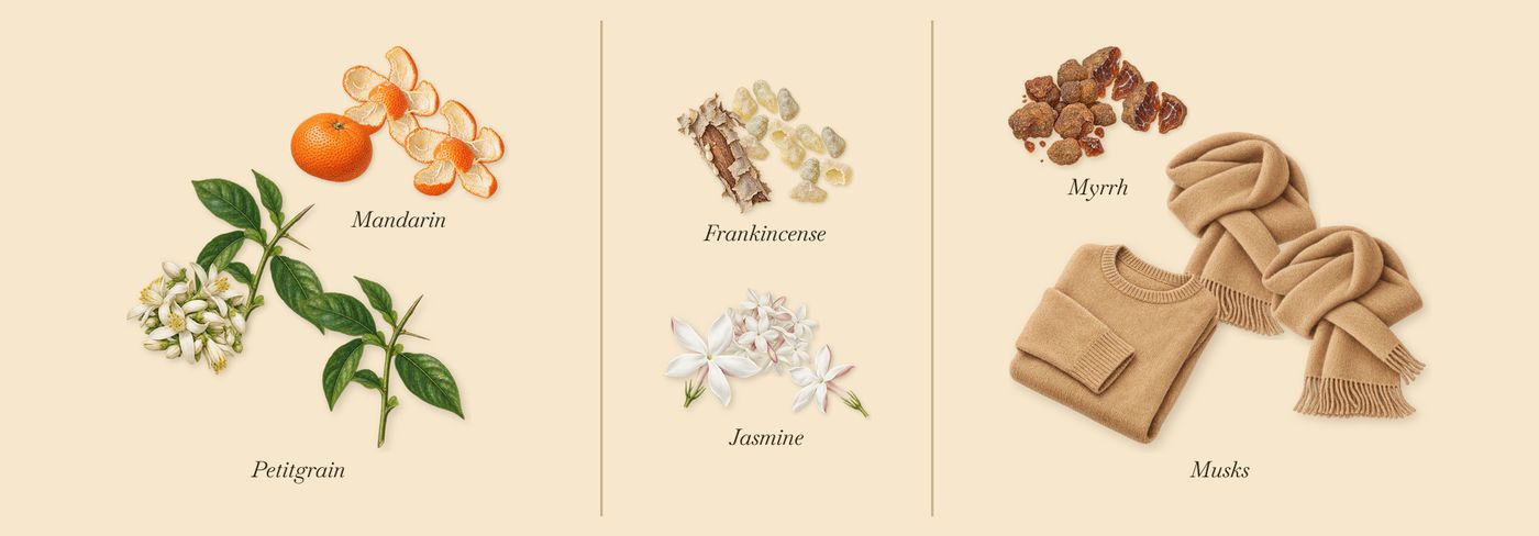 Orange Smoke’s scent picture, a draft: mandarin, petitgrain, jasmine, frankincense, myrrh, musks drawn so far; dashed outlines where nothing is drawn yet