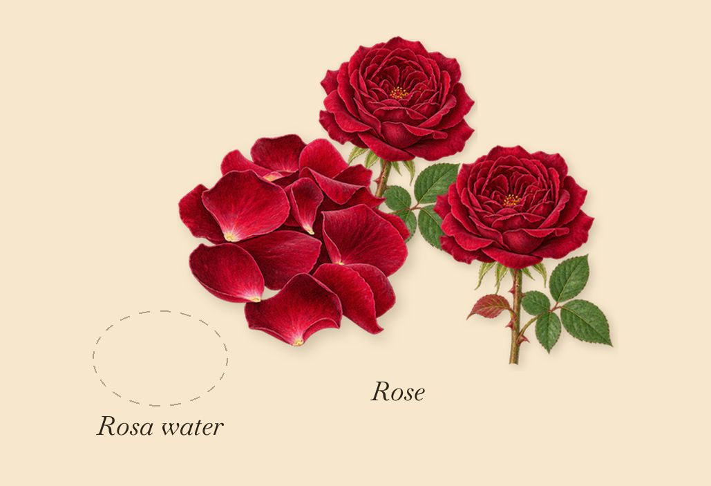 Raving Rose, as it settles: Rosa water, Rose