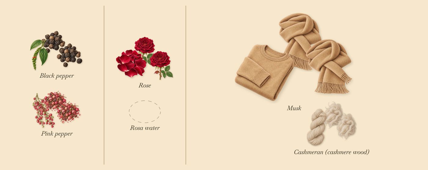 Raving Rose’s scent picture, a draft: pink pepper, black pepper, rose, cashmeran (cashmere wood), musk drawn so far; dashed outlines where nothing is drawn yet