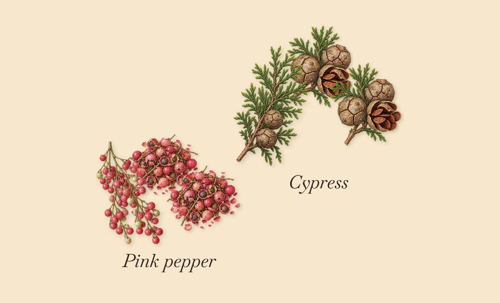 Rock The Myrrh, when you spray it: Cypress, Pink pepper