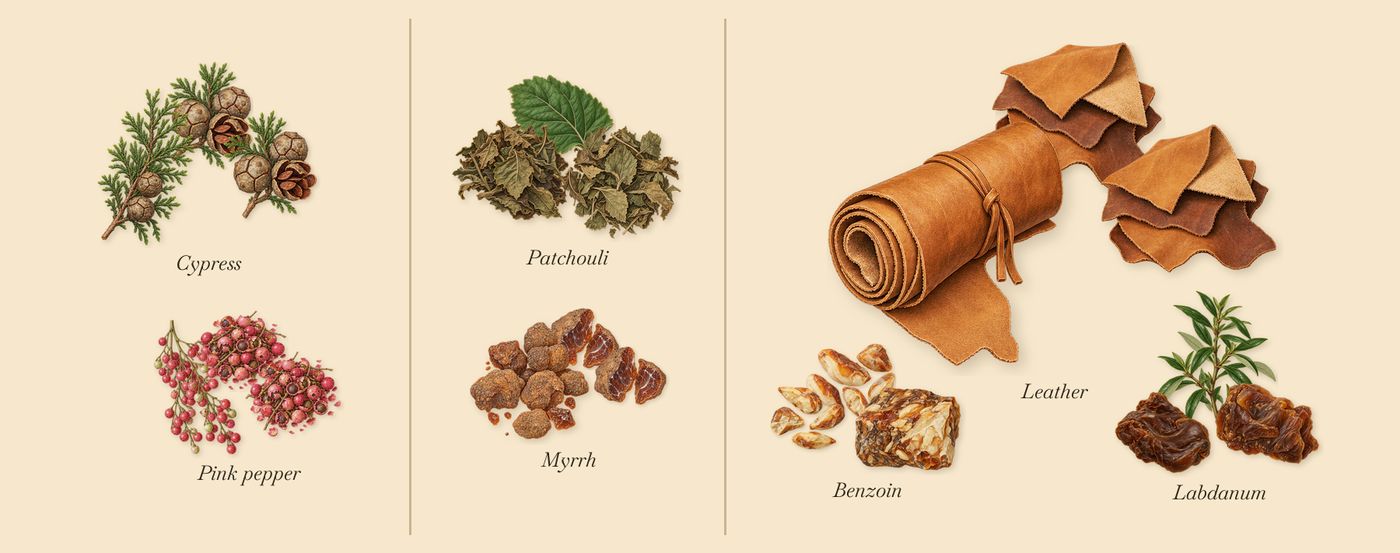 Rock The Myrrh’s scent picture, a draft: cypress, pink pepper, myrrh, patchouli, leather, benzoin drawn so far; dashed outlines where nothing is drawn yet