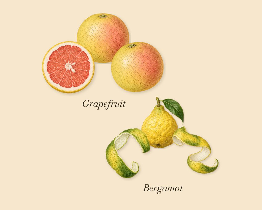 Santal Greenery, when you spray it: Bergamot, Grapefruit