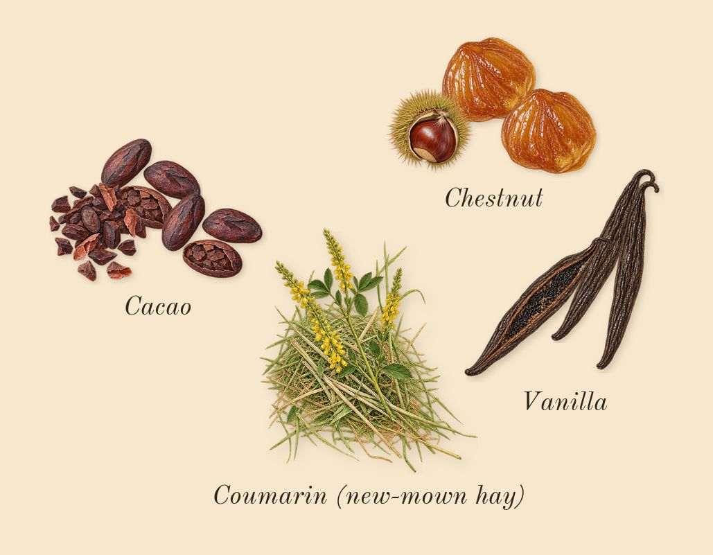 Soie Malaquais, dry-down: Chestnut, Cacao, Vanilla, Coumarin (new-mown hay)