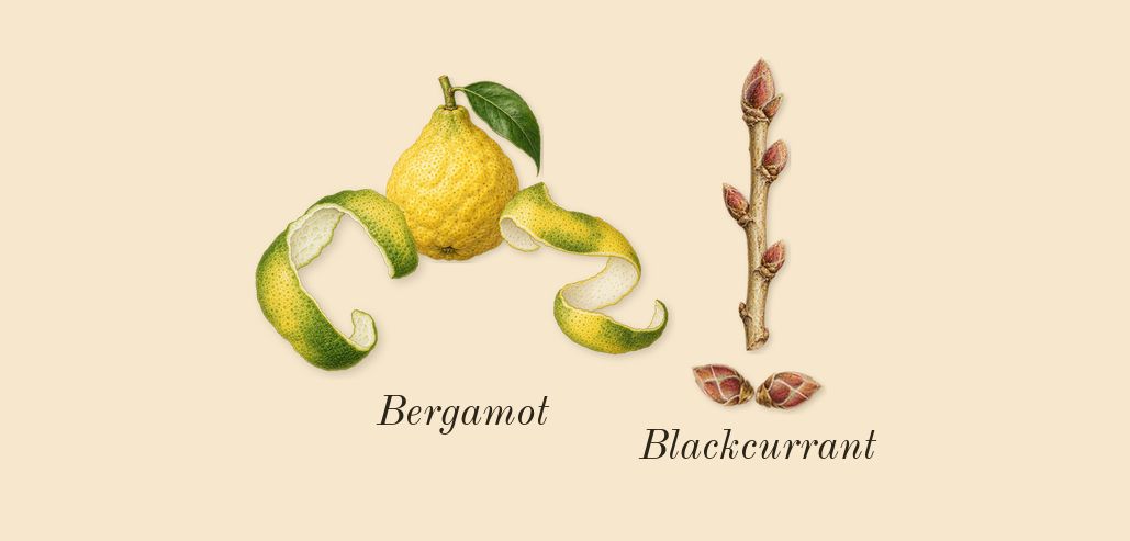 Soie Malaquais, top notes: Bergamot, Blackcurrant