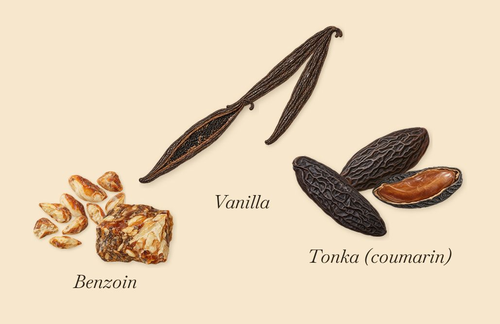 Sur Ma Peau, what stays: Vanilla, Tonka (coumarin), Benzoin