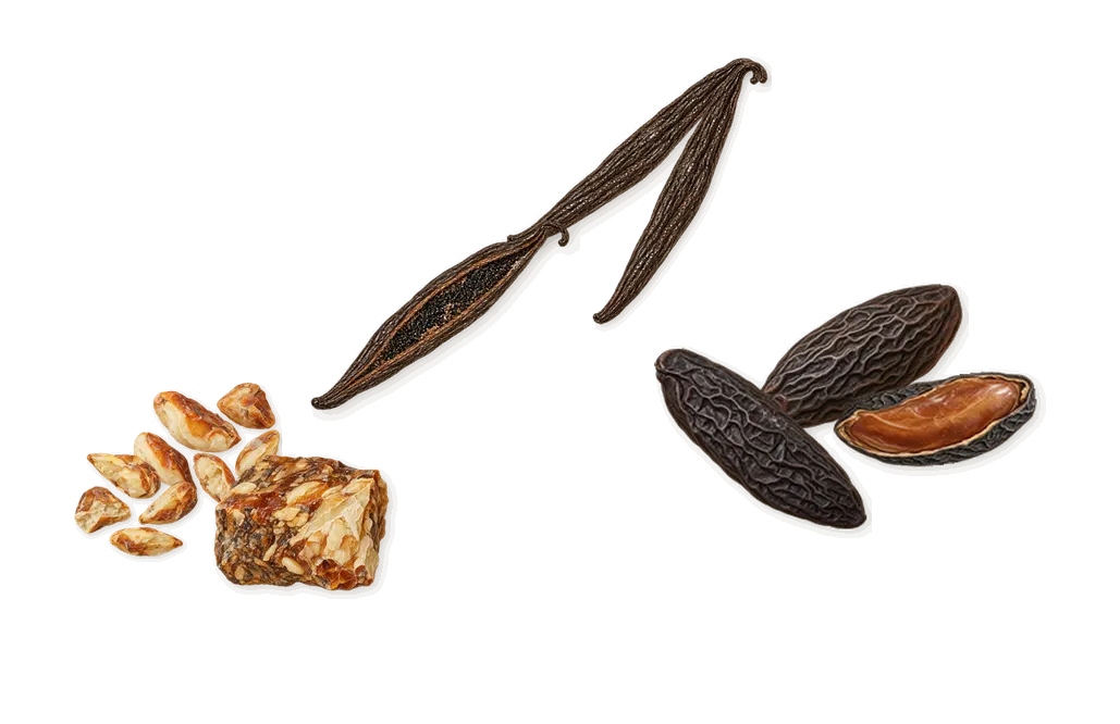 Sur Ma Peau, what stays: Vanilla, Tonka (coumarin), Benzoin