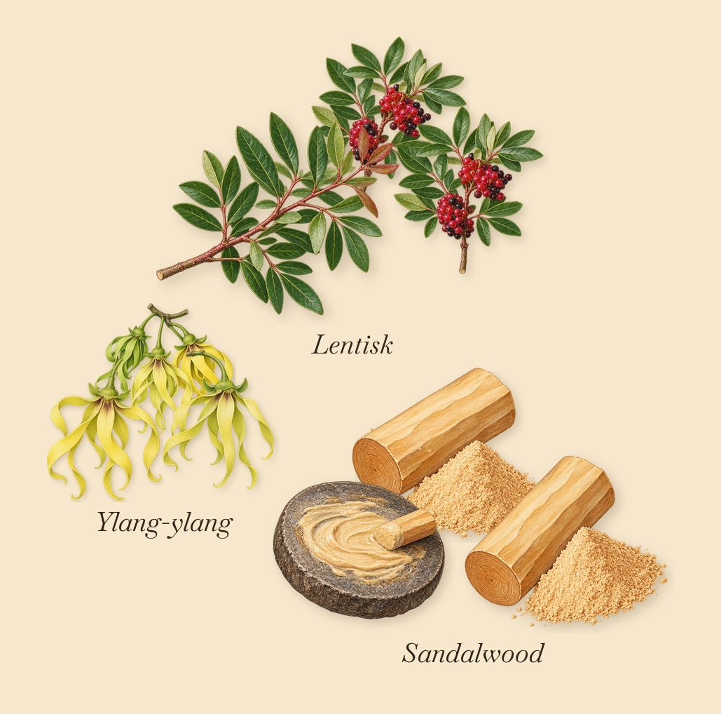 Vanille Camouflage, as it settles: Lentisk, Ylang-ylang, Sandalwood