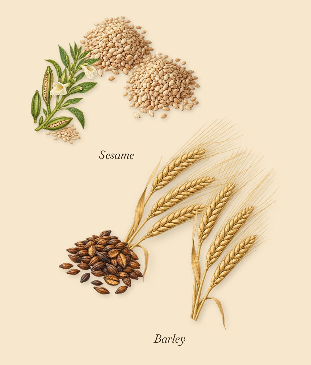 Velvet Violet, as it settles: Sesame, Barley