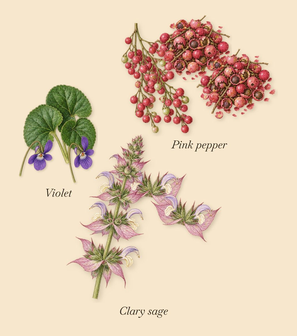 Velvet Violet, when you spray it: Pink pepper, Violet, Clary sage